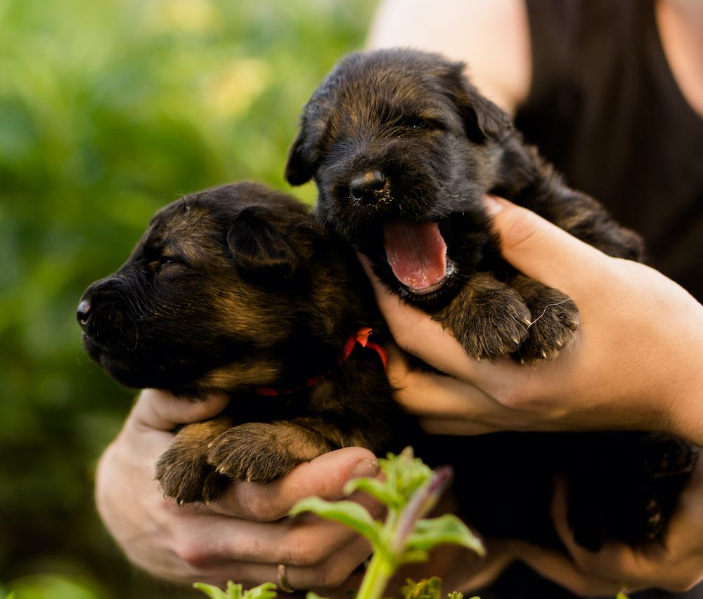 Question of the Week